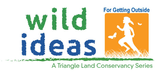 Wild-Ideas-for-Go-Logo-web